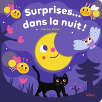 Surprises... dans la nuit !