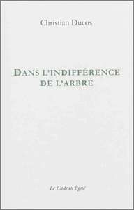 DANS L'INDIFFERENCE DE L'ARBRE
