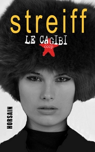 Le Cagibi