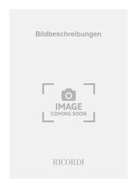 BILDBESCHREIBUNGEN