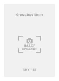GRENZGANGE STEINE ORCHESTRE