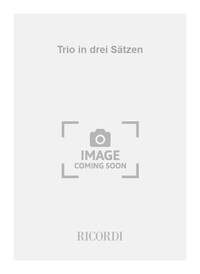 TRIO IN DREI SATZEN