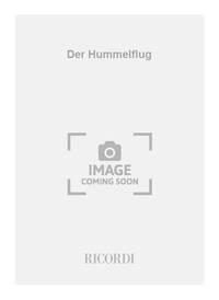 DER HUMMELFLUG GUITARE