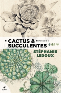 CACTUS & SUCCULENTES