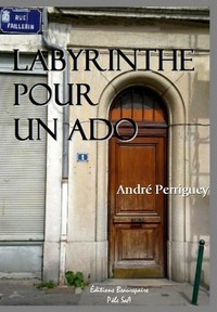 Labyrinthe pour un ado