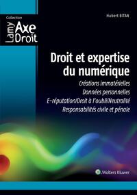 DROIT ET EXPERTISE DU NUMERIQUE - CREATIONS IMMATERIELLES/DONNEES PERSONNELLES/E-REPUTATION/DROIT A