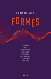 FORMES - LA GEOMETRIE CACHEE DE L'INFORMATION, DE LA BIOLOGIE, DE LA STRATEGIE, DE LA DEMOCRATIE ET