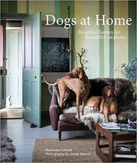 Dogs at Home /anglais