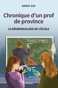 CHRONIQUE D'UN PROF DE PROVINCE