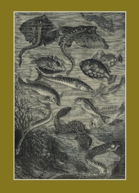 CARNET BLANC : VINGT MILLE LIEUES SOUS LES MERS, JULES VERNE, 1871 - LE FLEUVE NOIR