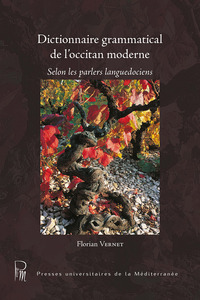 Dictionnaire grammatical de l'occitan moderne 2ème édition