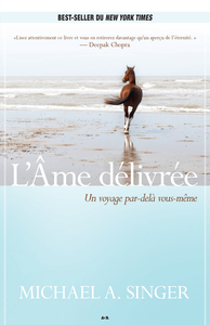 L'AME DELIVREE - UN VOYAGE PAR-DELA VOUS-MEME