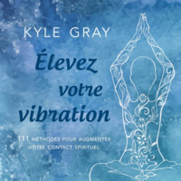 ELEVEZ VOTRE VIBRATION - 111 METOHDES POUR AUGMENTER VOTRE CONTACT SPIRITUEL - LIVRE AUDIO CD MP3