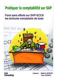 Pratiquer la comptabilité sur SAP