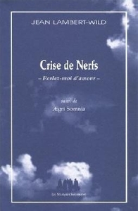 Crise de nerfs, parlez-moi d'amour suivi de Aegri somnia