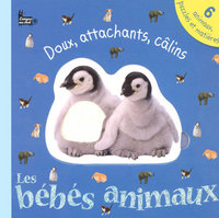 Les bébés animaux doux, attachants, câlins