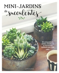 MINI-JARDINS DE SUCCULENTES