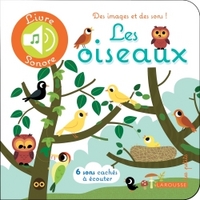 LES OISEAUX