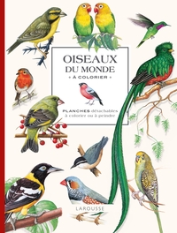 OISEAUX DU MONDE A COLORIER