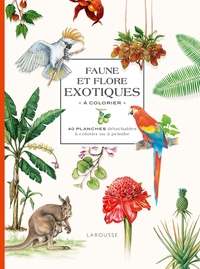 FAUNE ET FLORE EXOTIQUES A COLORIER