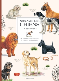 NOS AMIS LES CHIENS A  COLORIER