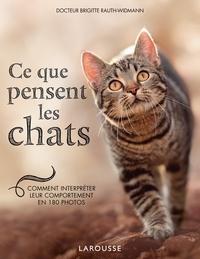 CE QUE PENSENT LES CHATS