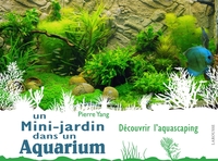 UN MINI JARDIN DANS UN AQUARIUM