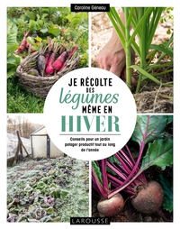 JE RECOLTE DES LEGUMES, MEME EN HIVER