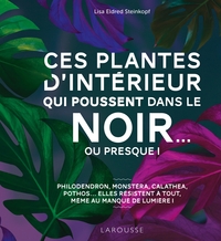 CES PLANTES D'INTERIEUR QUI POUSSENT DANS LE NOIR... OU PRESQUE !
