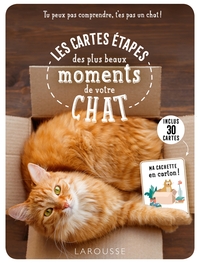 LES CARTES ETAPES - TU PEUX PAS COMPRENDRE, T'ES PAS UN CHAT