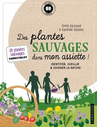 DES PLANTES SAUVAGES DANS MON ASSIETTE !