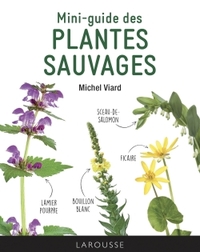 MINI-GUIDE DES PLANTES SAUVAGES