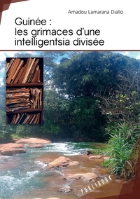Guinée : les grimaces d'une intelligentsia divisée