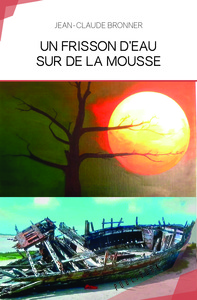 LE FRISSON D'EAU SUR DE LA MOUSSE