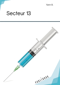 Secteur 13