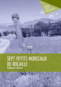 Sept petits morceaux de rocaille