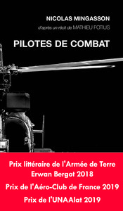 PILOTES DE COMBAT