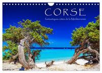 Corse - fantastiques côtes de la Méditerranée (Calendrier mural 2027 DIN A4 vertical), CALVENDO calendrier mensuel