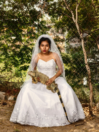 PIETER HUGO LA CUCARACHA /ANGLAIS