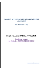 COMMENT APPRENDRE A FONCTIONNER DANS LE LEADERSHIP