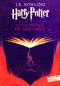 HARRY POTTER - VI - HARRY POTTER ET LE PRINCE DE SANG-MELE - EDITION 2017