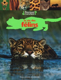 La vie des félins