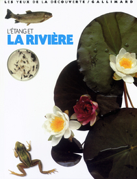 L'ETANG ET LA RIVIERE