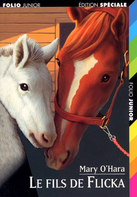 LE FILS DE FLICKA