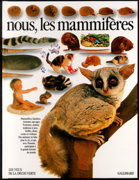 NOUS, LES MAMMIFERES