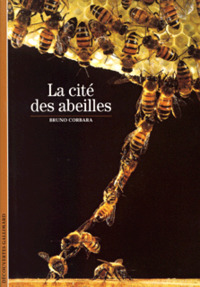 LA CITE DES ABEILLES