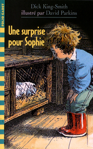 Une surprise pour Sophie