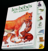 Les bébés des animaux