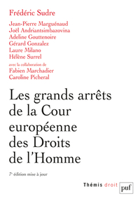 Les grands arrêts de la Cour européenne des droits de l'homme