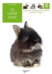 LAPIN NAIN